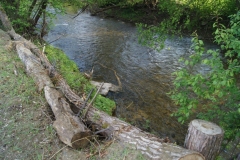 DSC04715