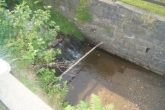 DSC07000