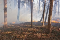 Waldbrand-23-03-2022-3