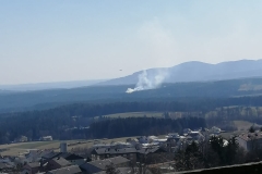 Waldbrand-23-03-2022-4